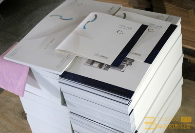 專業(yè)樓書印刷服務(wù) 仁恒公園世紀(jì)項(xiàng)目二折頁(yè)與樓書印刷方案解析